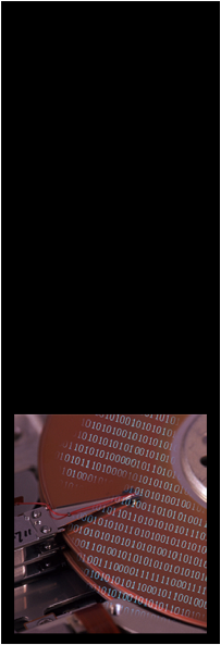wp1d6d52d9.png